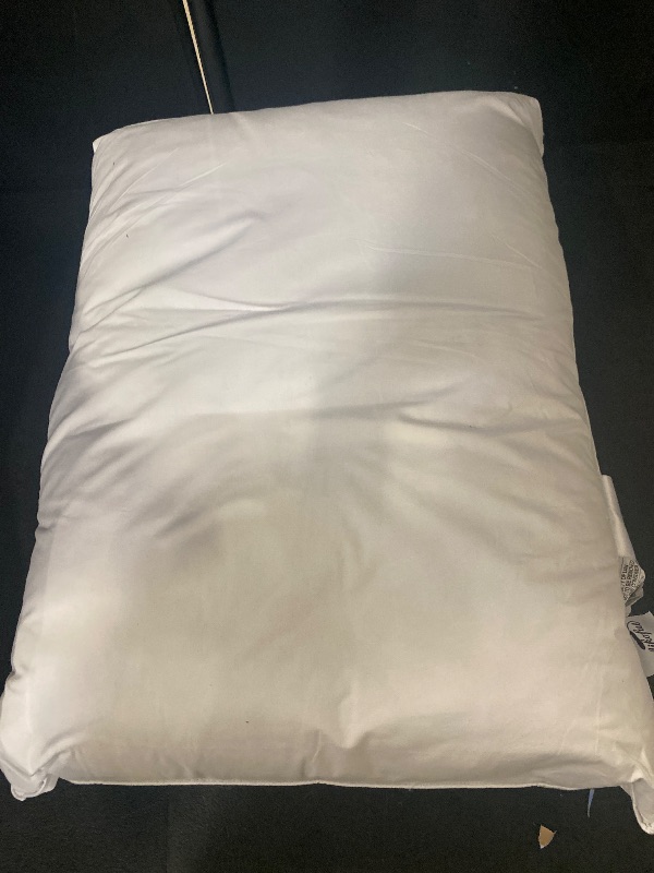 Photo 1 of Luxury 85% Waterfowl Feathers/15% Down Pillow Queen Size, Hotel Quality Fluffy Bed Pillow, Soft Pillow for Sleeping, Organic Cotton Cover(20x28 inches, Pack of 1)