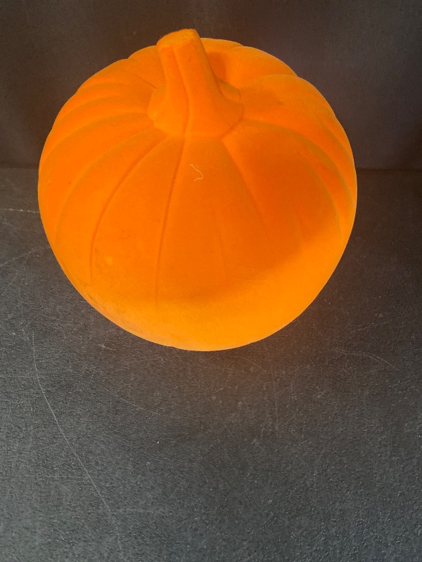 Photo 1 of hyde and eek pumpkin