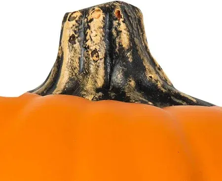 Photo 1 of Hyde & EEK Boutique pumpkin carvable