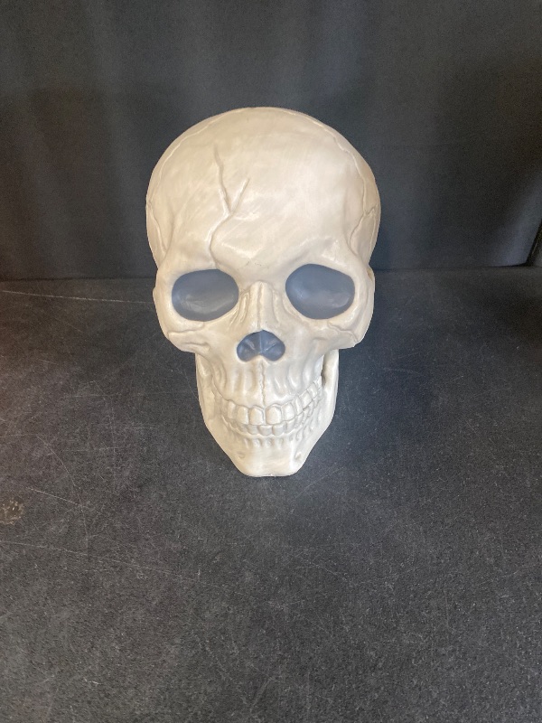 Photo 1 of Hyde and Eek 6" Skull Skeleton Medium Skull Halloween Decoration for Crazy Bonez Skeleton Line