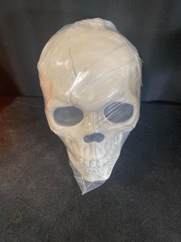 Photo 1 of Hyde and Eek 6" Skull Skeleton Medium Skull Halloween Decoration for Crazy Bonez Skeleton Line