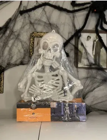 Photo 1 of Hyde and Eek! 38" Poseable Skeleton, Spiders & Spiderweb Halloween 11 Piece Prop Kit