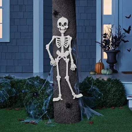 Photo 1 of Hyde and Eek! 38" Poseable Skeleton, Spiders & Spiderweb Halloween 11 Piece Prop Kit