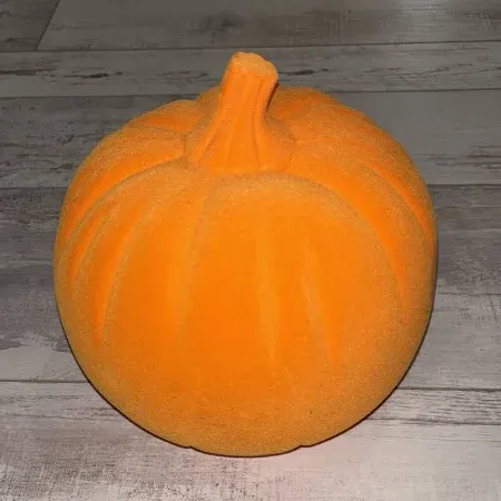 Photo 1 of Hyde & Eek! Boutique Flocked Pumpkin
