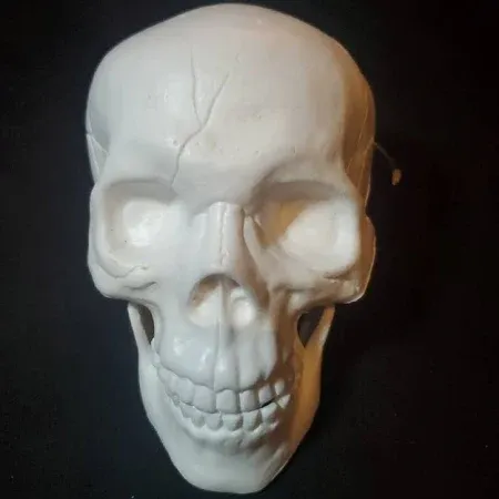 Photo 1 of 2 count hyde and eek Psychedelic Skull Ornament orange and white