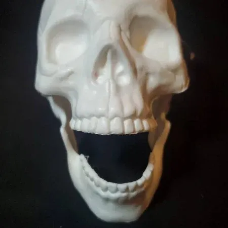 Photo 1 of 2 count hyde and eek Psychedelic Skull Ornament orange and white