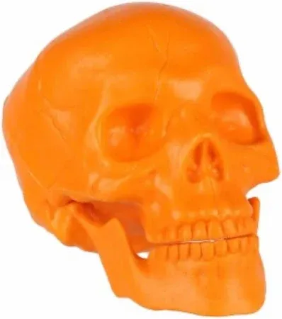 Photo 1 of 2 count hyde and eek Psychedelic Skull Ornament orange and white