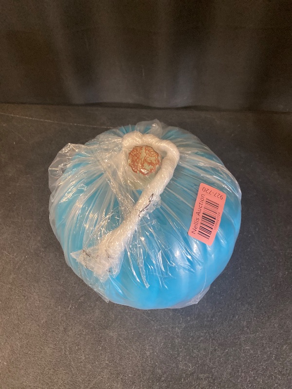 Photo 1 of Hyde & Eek! Boutique Holiday Teal Pumpkin Halloween Decor