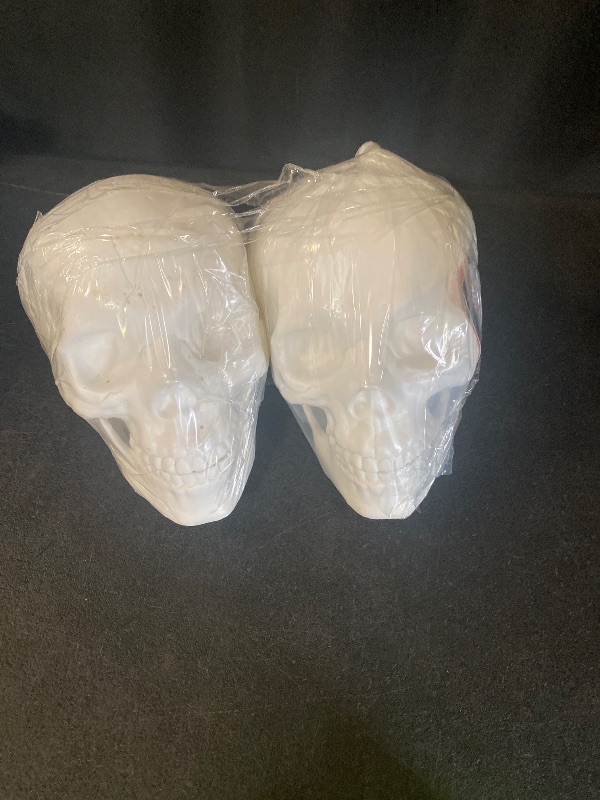 Photo 1 of HYDE & EEK! Halloween Decorative Prop skulls