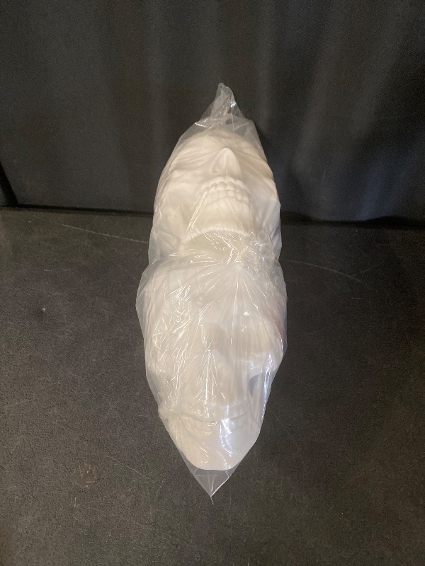 Photo 1 of  HYDE & EEK! Halloween Decorative Prop skul  all white 2 pack