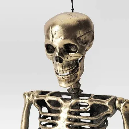 Photo 1 of Hyde and eek posable skeleton
