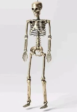 Photo 1 of Hyde and eek posable skeleton