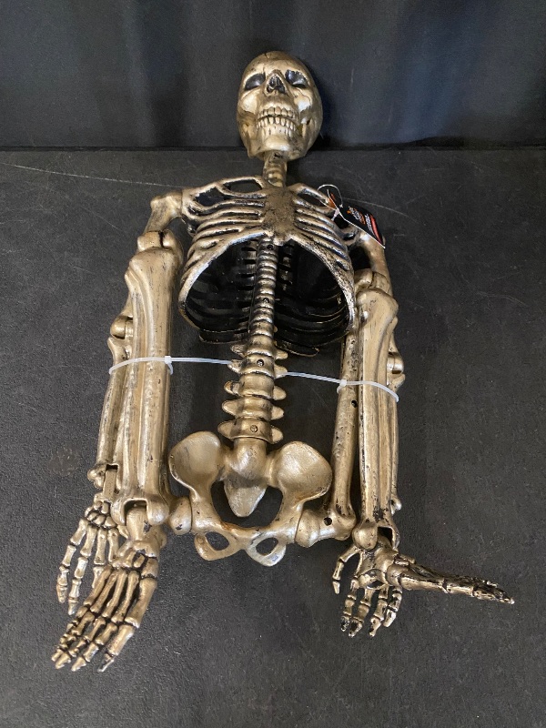 Photo 1 of Hyde and eek posable skeleton