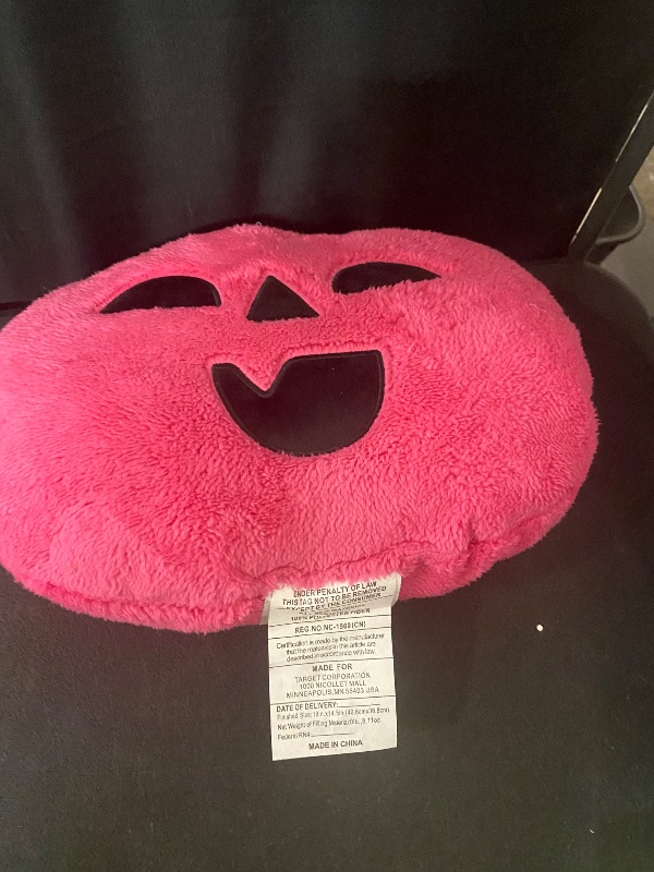 Photo 1 of hyde and eek pumkin pillow pink