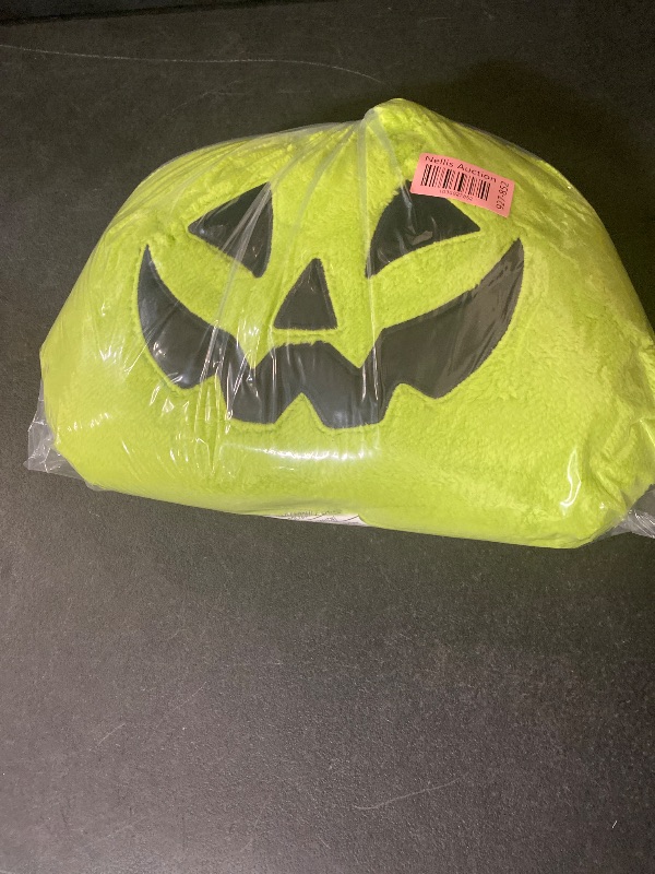 Photo 1 of hyde and eek pumkin pillow green