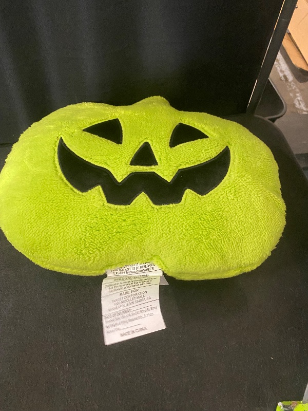 Photo 1 of hyde and eek pumkin pillow green