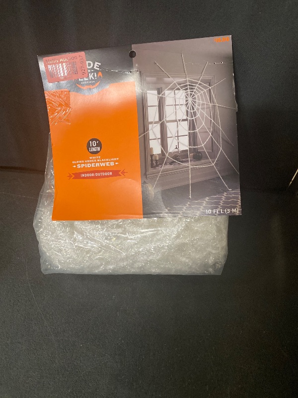 Photo 1 of hyde and eek spider web 10" white
