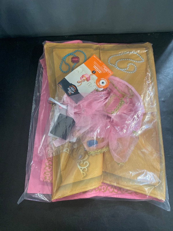 Photo 1 of size L hyde and eek ballerina MUSIC BOX costume