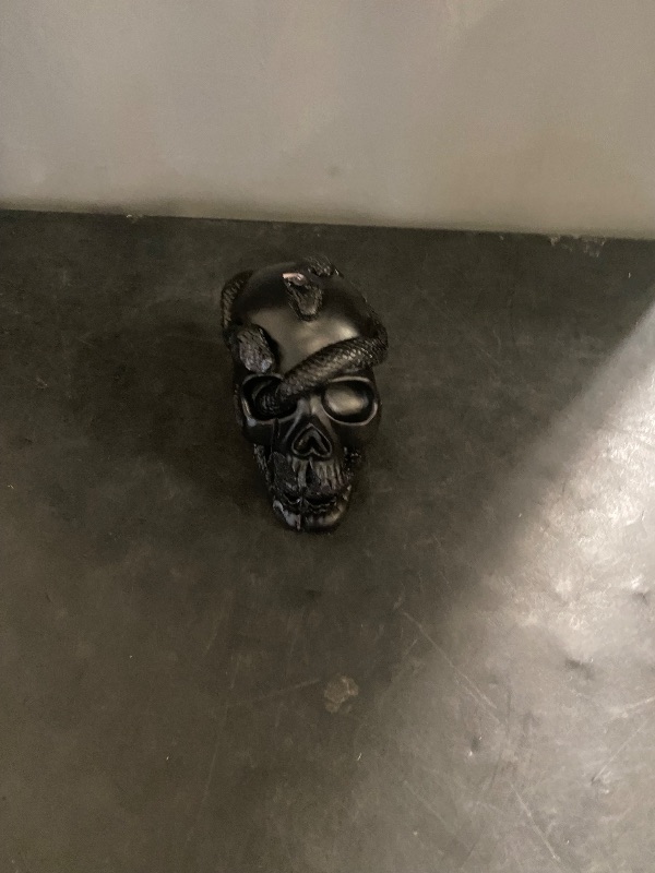Photo 1 of 5.1'' Skull and Snake Candle Black - Threshold™