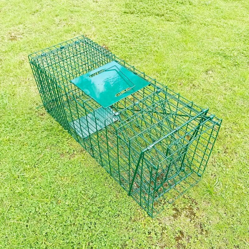Photo 1 of Collapsible Humane Live Animal Cage Trap No-Kill Trapping Kit for Humane Catch Release Rabbits, Stray Cat, Squirrel, Raccoon, All Fit Sized Animals, Heavy Duty, 2-Door 26" x 9.5" x 10.2", Hidden Green