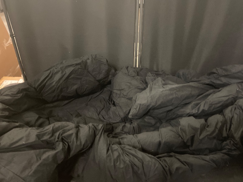 Photo 1 of Three Geese Premium Pinch Pleat Comforter Duvet Insert