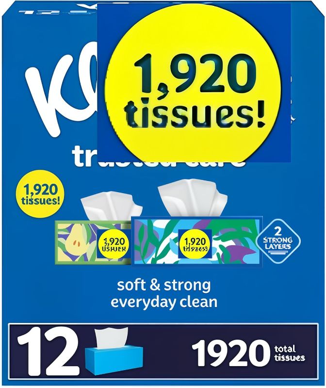 Photo 1 of 2-Ply Facial Tissues – Soft, Absorbent Tissue Paper for Everyday Use, 160 Tissues/Box, 12 Boxes