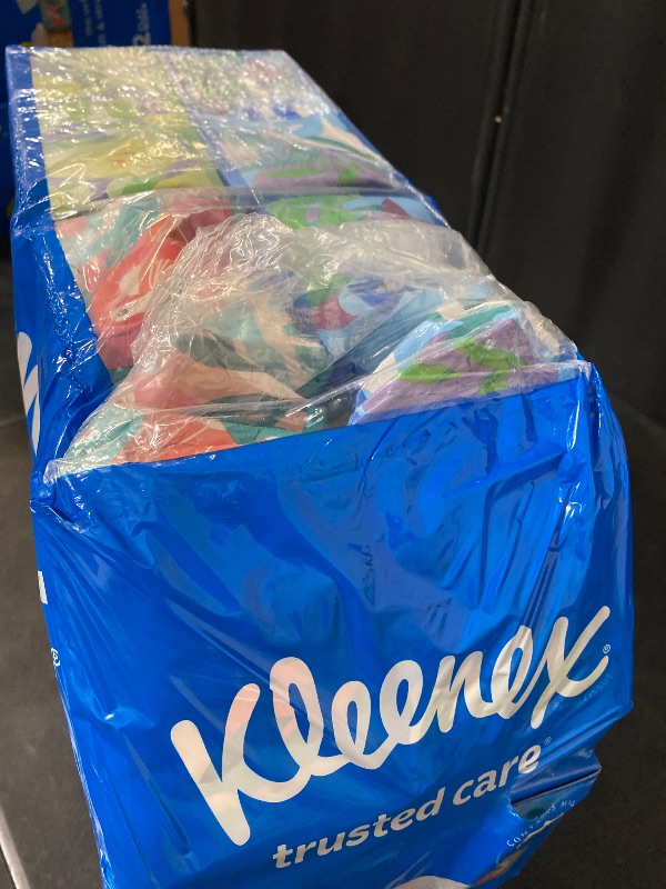 Photo 1 of 2-Ply Facial Tissues – Soft, Absorbent Tissue Paper for Everyday Use, 160 Tissues/Box, 12 Boxes