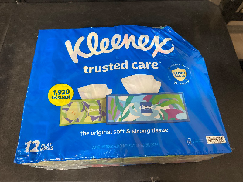Photo 1 of 2-Ply Facial Tissues – Soft, Absorbent Tissue Paper for Everyday Use, 160 Tissues/Box, 12 Boxes