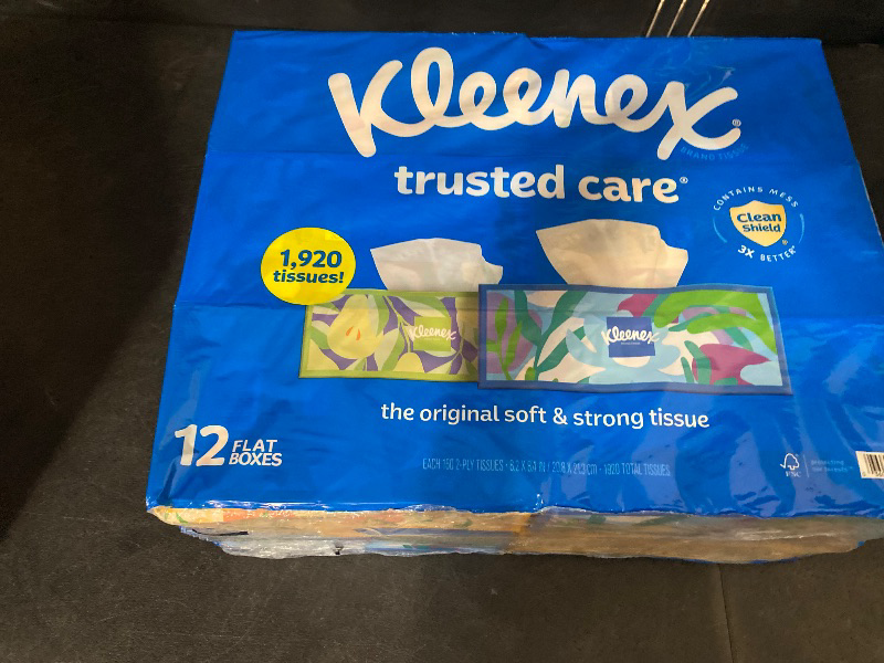 Photo 1 of 2-Ply Facial Tissues – Soft, Absorbent Tissue Paper for Everyday Use, 160 Tissues/Box, 12 Boxes