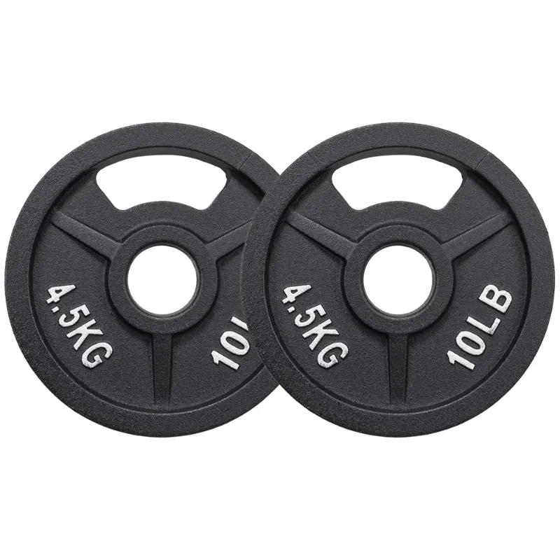 Photo 1 of BalanceFrom Cast Iron Weight Plates, Black, 2-Inch?Multiple Weight Options, Pair or Set, for Strength Training & Home Gym Two 10 Pound Weights
