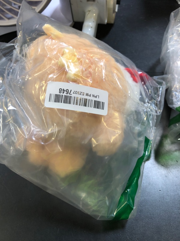 Photo 1 of  Chicken Stuffed Animal