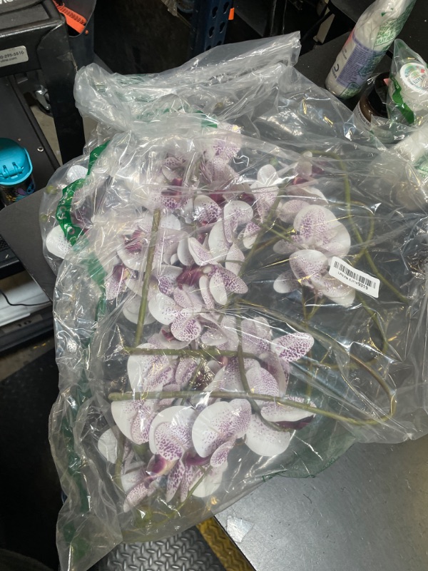 Photo 1 of FagusHome 32 Inch Artificial Phalaenopsis Flowers 6 Pcs Artificial Orchid Flowers Stem Plants for Home Décor (Purple Core)