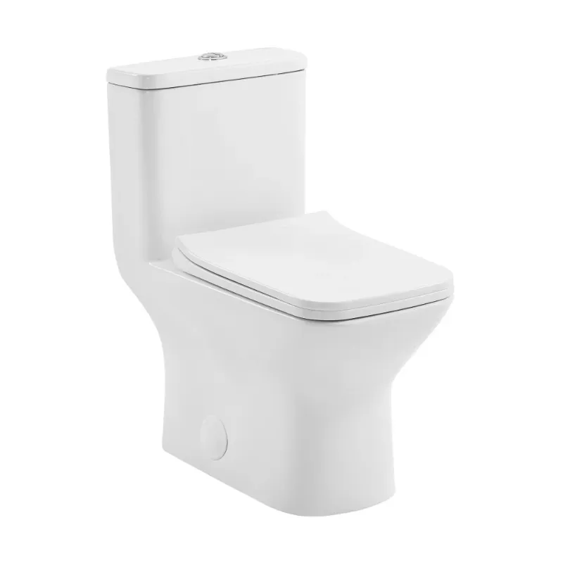 Photo 1 of Swiss Madison
Sublime II One-Piece Dual-Flush Round Toilet
