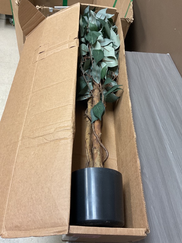 Photo 1 of Nearly Natural 3ft Triple Trunk Artificial Ficus Tree with Natural Wood Trunks, Fake Tree for Indoor Home Decor, Faux Ficus Tree with Black Nursery Pot