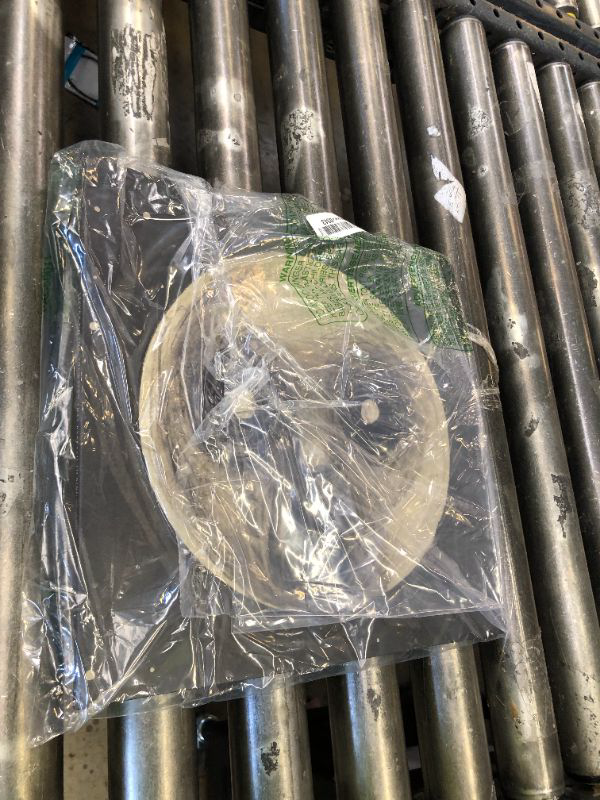Photo 1 of THE RAVEN THAT REFUSED TO SING ( 10TH ANNIVERSARY LUMINOUS VINYL EDITION )