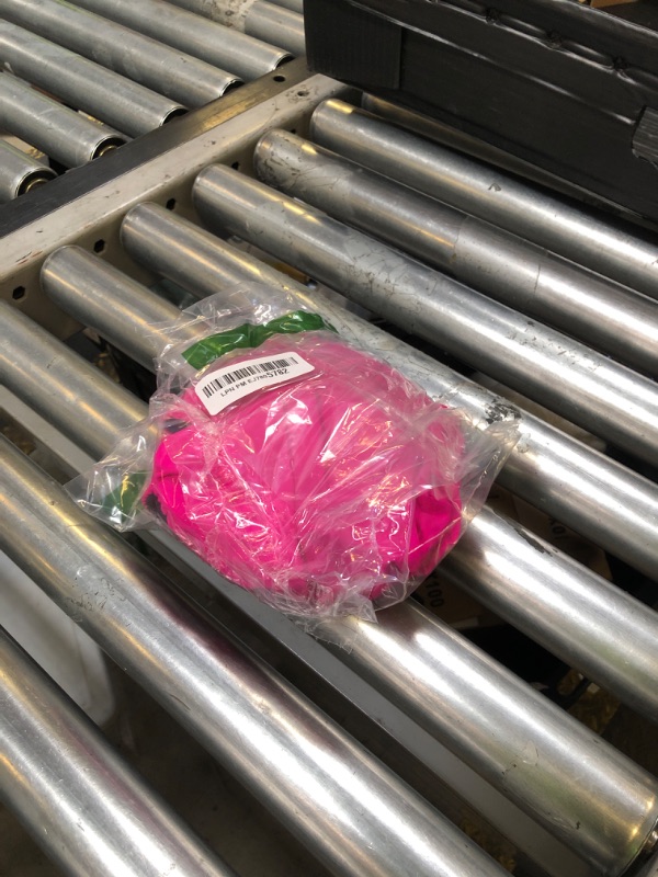 Photo 1 of 3T to Youth Reusable Swim Diaper Washable Incontinence Underwear for Special Needs Kids Waterproof Covers?Pink?12-14?