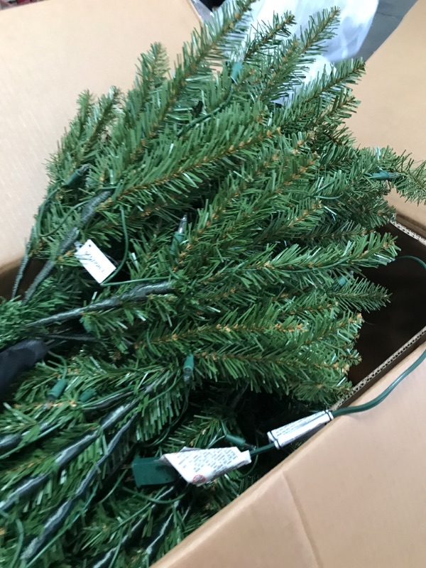 Photo 1 of National Tree Company Pre-Lit Artificial Full Christmas Tree, Green, Dunhill Fir, White Lights, Includes Stand, 7.5 Feet