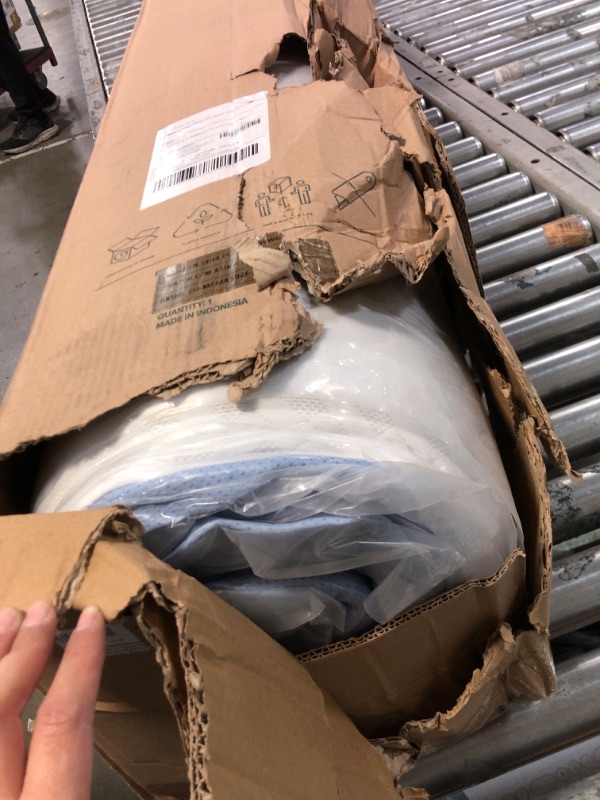 Photo 1 of ZINUS 12 Inch Cooling Essential Memory Foam Mattress [New Version], Full, Fiberglass Free, Medium Feel, Cooling Airflow Memory Foam, Certified Safe Foams & Fabric, Mattress in A Box