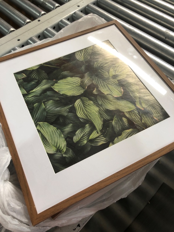 Photo 1 of (see all images) Acovy 16x16 Square Picture Frames Set of 5