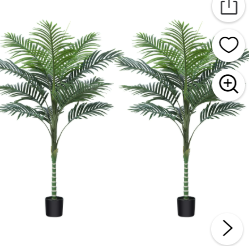 Photo 1 of 



Visit the DR.Planzen Store
2 Pack Artificial Golden Cane Palm Plants 4 Feet Fake Tree for Home Decor Indoor Outdoor Faux Areca Palm Tree in Pot for Home Office Perfect Housewarming Gift,Set of 2