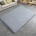 Photo 1 of 2.5 Inch Mattress Futon Roll Up Mattress,Camping Sleeping Pad Grey - Twin