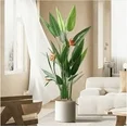 Photo 1 of ****MISSING FLOWERS****WFUN 4 Feet Artificial Plant Fake Tropical Bird of Paradise Tree for Home Office Wedding Valenine Decor