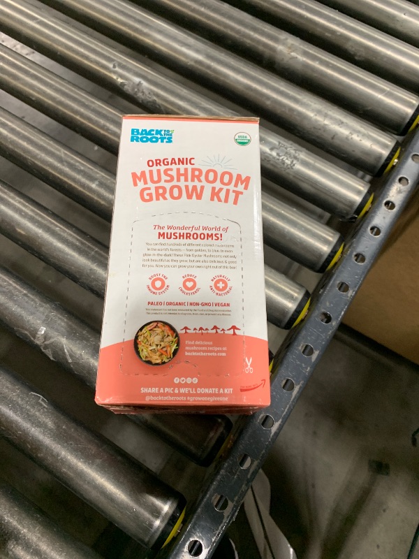 Photo 2 of Back to the Roots Organic Pink Mushroom Grow Kit, Harvest Gourmet Mushrooms In 10 Days