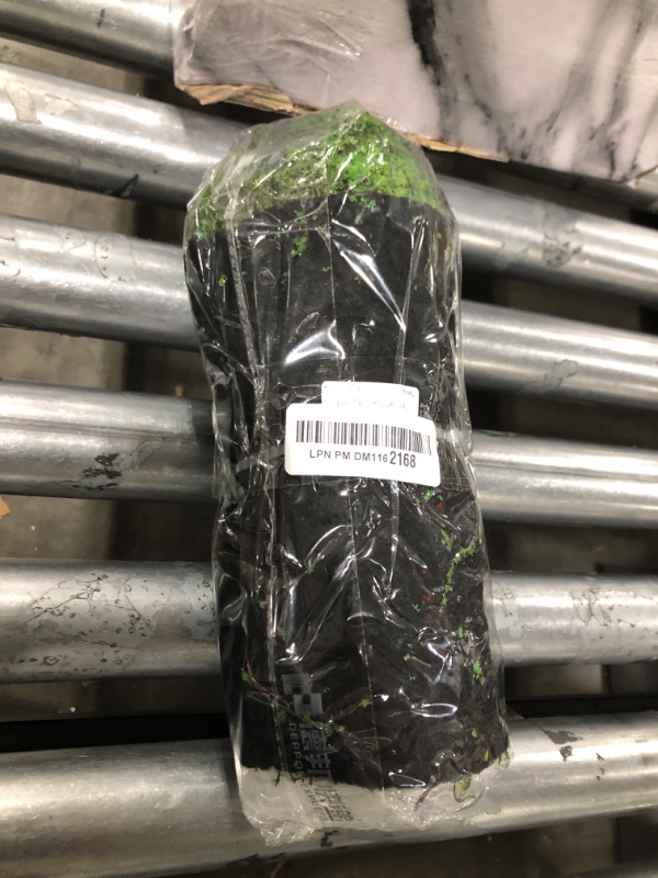 Photo 1 of Terrarium Moss Background 7.9 x 39 Inch, Reptile Backdrop Wall Decor and Artificial Moss Reptile Amphibian Cage Decoration for Lizard Bearded Dragon Snake Frog Chameleon Leopard Gecko Tortoise