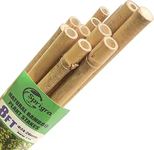 Photo 1 of Bamboo Stakes 8 Feet, 96 inch Garden Stakes Multi-Purpose, Bamboo Plant Support Stakes for Tomatos, Beans, Cucumbers, Peppers, Potted Trees, Maintain The Plant Posture, Strengthen and Stem

