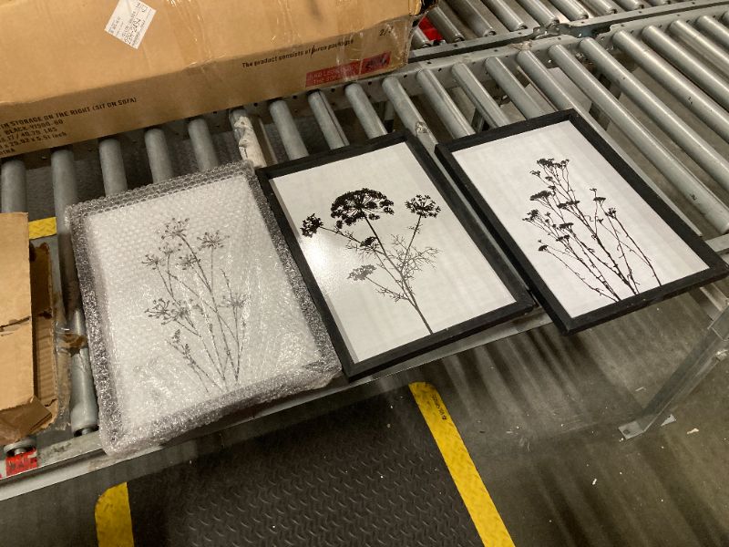 Photo 1 of ***frame damaged*** Flower Plant Wall Art Decor 16"x11" Set of 3 Black And White Botanical Painting Wood Framed For Minimalist Bedroom Office Rustic Living Room Abstract Wildflower Sign Hanging (Wood Black)