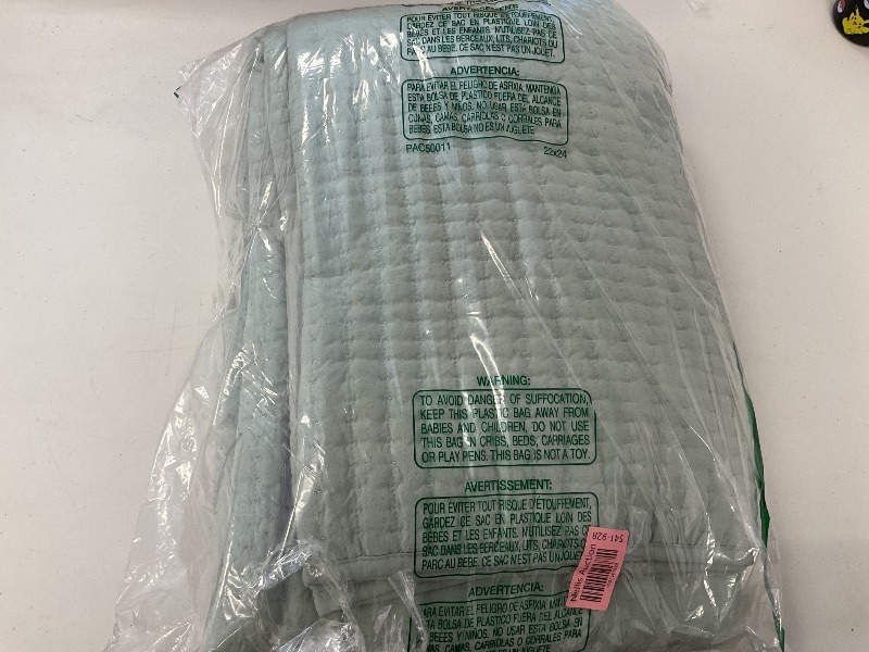 Photo 1 of ROSGONIA Dusty mint green Comforter Set Queen, All Season Soft Bedding Lightweight Bedspread Blanket Quilt