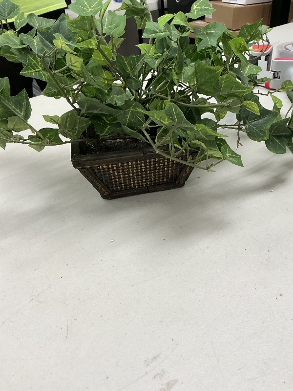 Photo 1 of AlphaAcc Artificial Plants Decor Greenery Fake Succulents Indoor Potted Fake Plant with Rustic Black wooden Planter for  Room Bathroom Bedroom Kitchen Office Table Desk Decor