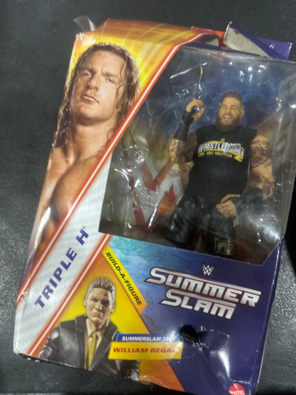 Photo 1 of Mattel WWE SummerSlam Triple H Action Figure