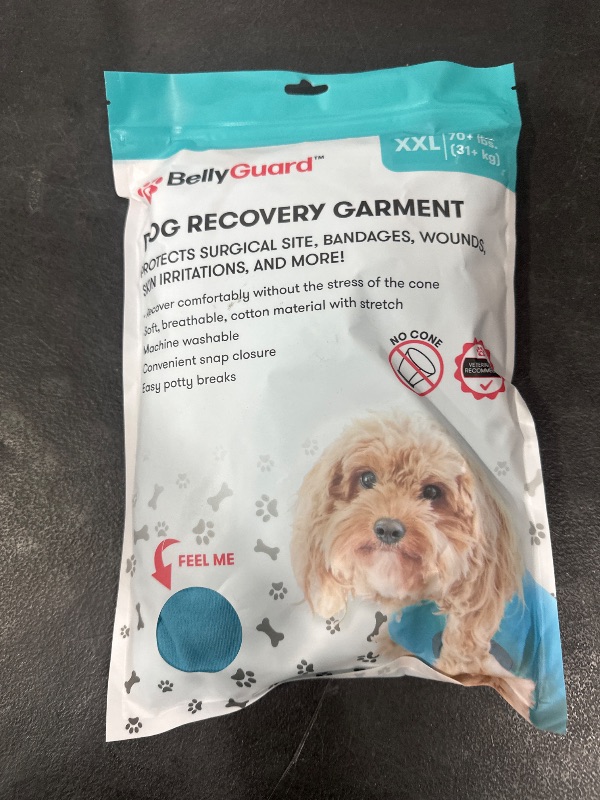 Photo 1 of BellyGuard Recovery Suit for Dogs, Comfy Dog Surgery Suit, Female Spay and Male Neuter Onesie for Post-Op Care